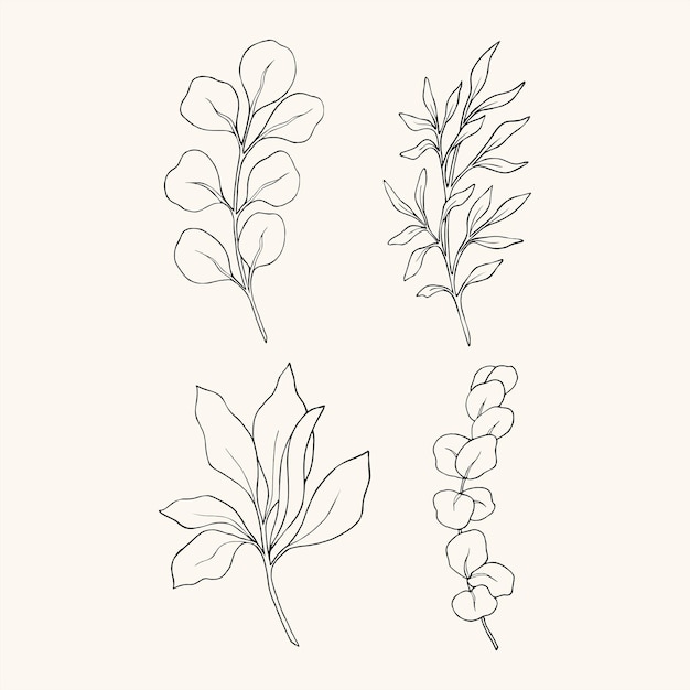 Collection of sketch decorative greenery