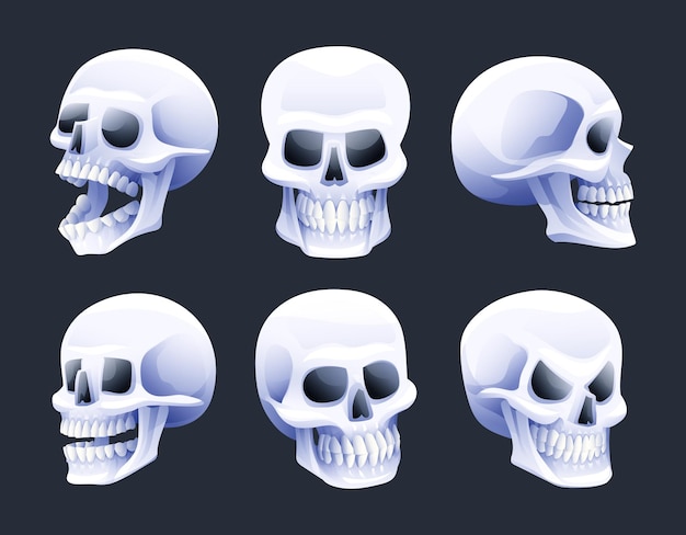 Collection of skull heads vector illustration