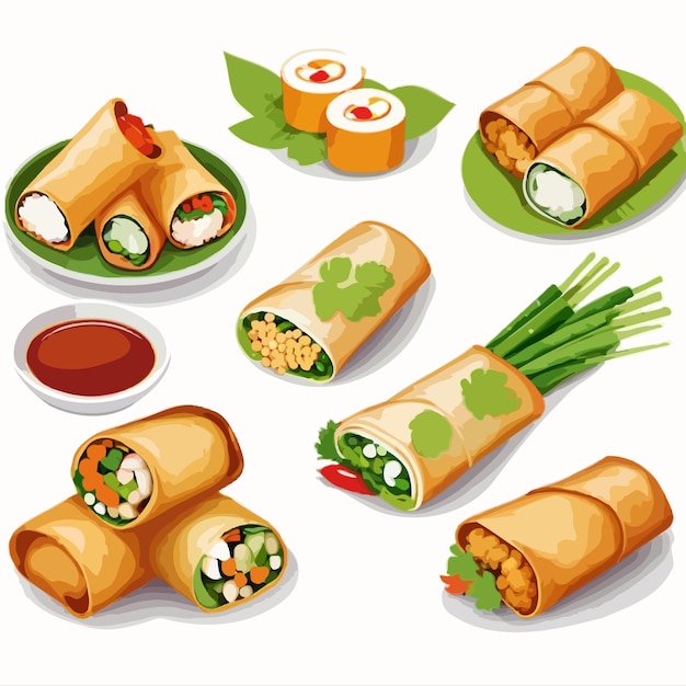 A collection of spring rolls cartoon drawing artwork illustration vector