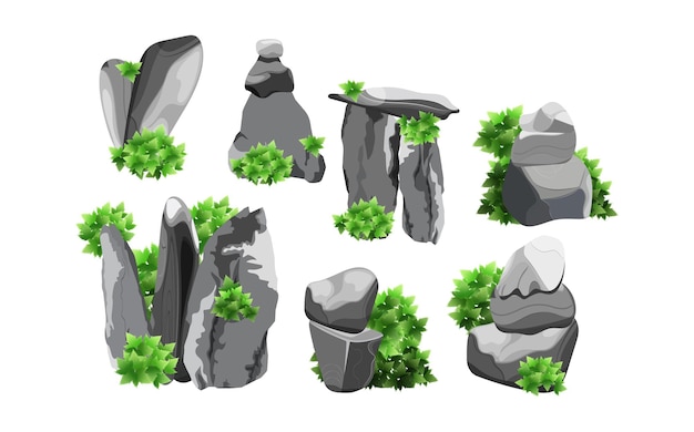 Collection of stones and plants of various shapes.