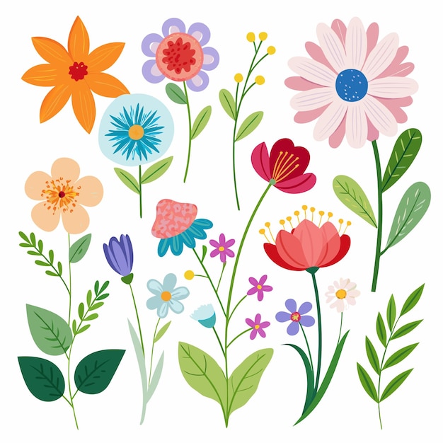 Collection of Summer flower branches illustration