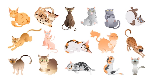 Collection of thoroughbred cartoon cats