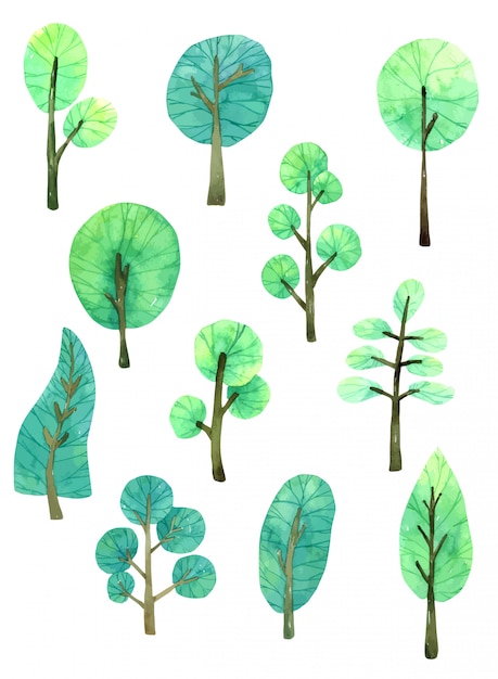 Collection of Tree in Hand drawn watercolor