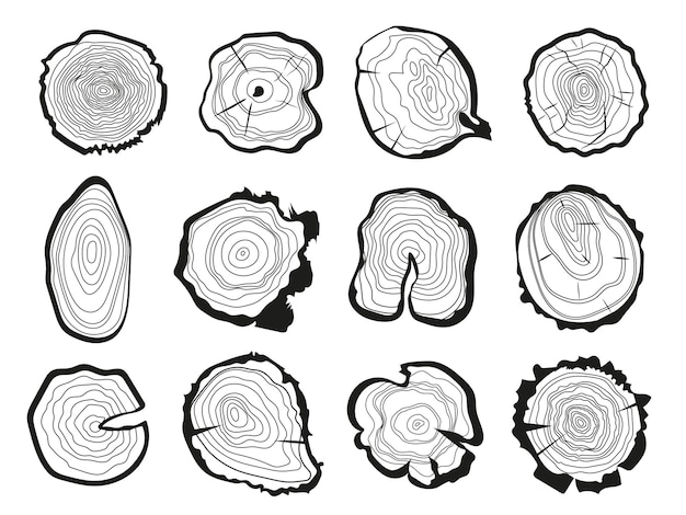 Vector collection of tree rings tree rings and cutting a tree trunk vector graphics