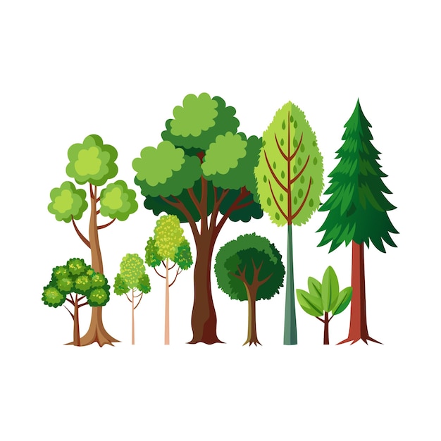 A Collection of Trees flat style vector illustration