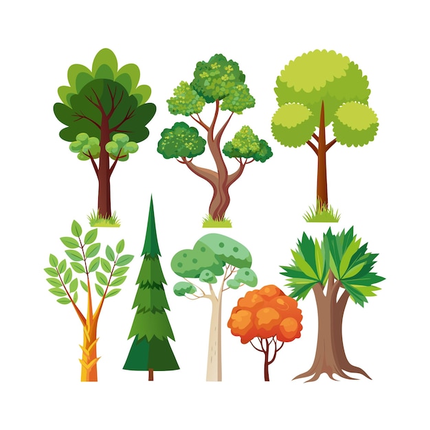 A Collection of Trees flat style vector illustration