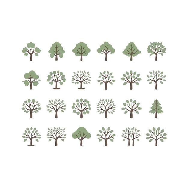 a collection of trees from the book of the book quot trees quot