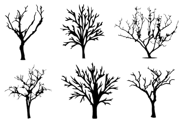 A collection of trees with different shapes and sizes.