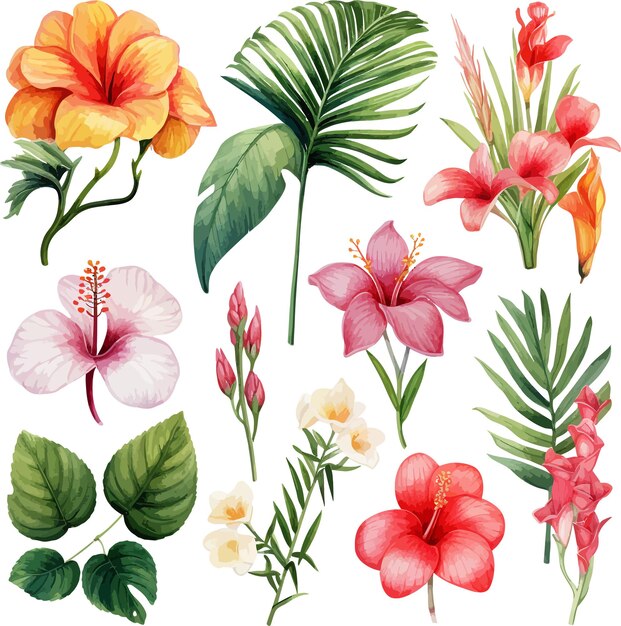 Vector a collection of tropical flowers including tropical leaves and flowers