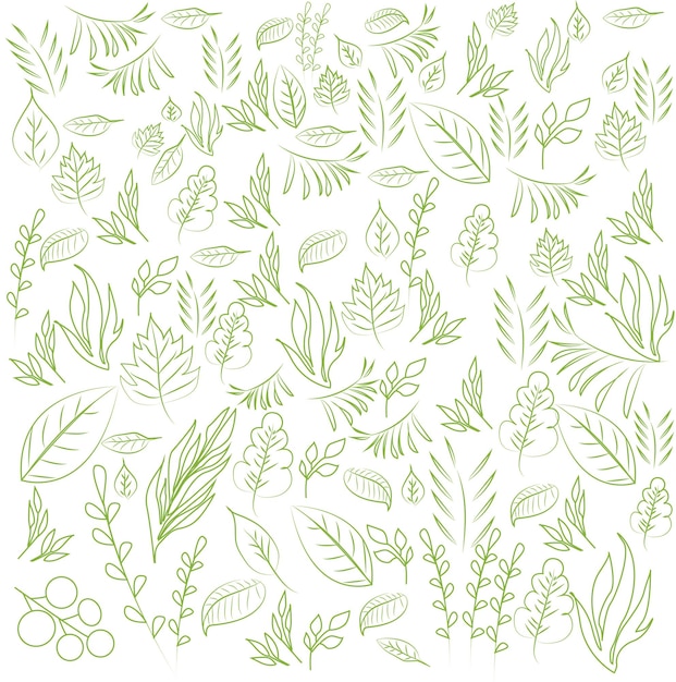 Collection of Tropical Green Leaves Line Drawing Hand Drawn Vector Illustration Stock EPS