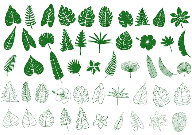 Collection of tropical greenery leaf plantleaves blackvector illustration