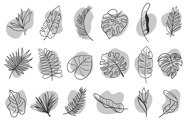 Collection of tropical leaf. Botanical linear illustration. Tropical clipart for card, print, fabric in linear style. Minimalist flower design