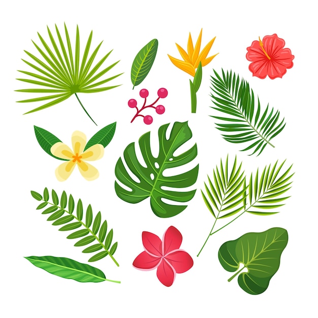 Collection of tropical plants and flowers