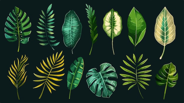 Vector a collection of tropical plants and leaves