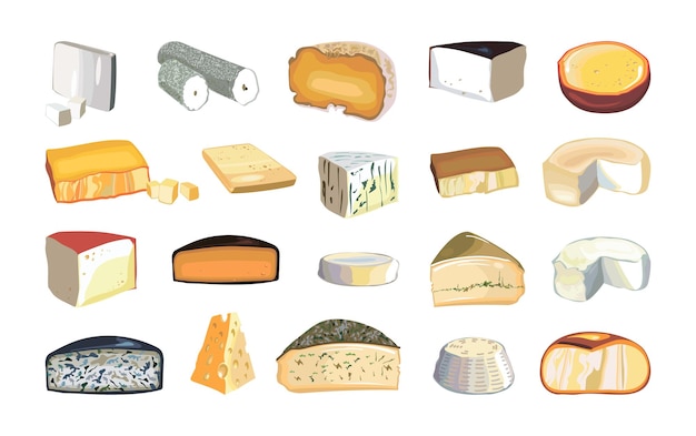 Collection of types of cheeses