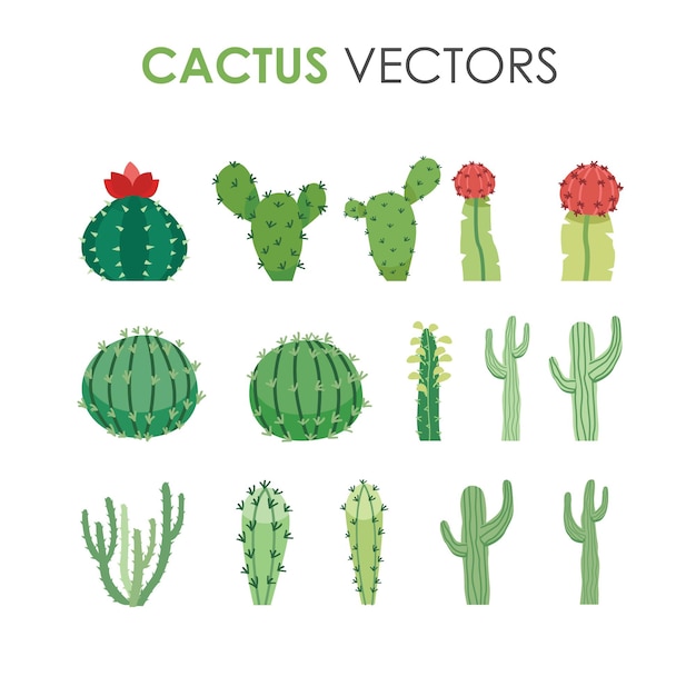 Collection of various green exotic desert cactus in flat illustration