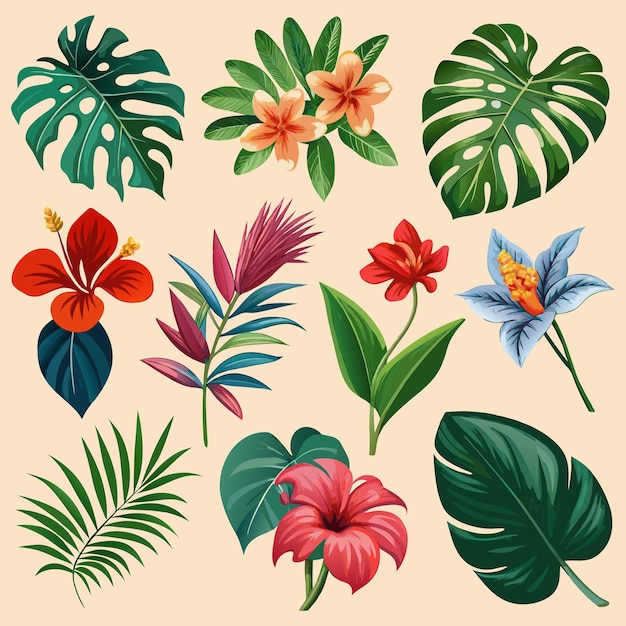 Vector a collection of various tropical flowers and leaves