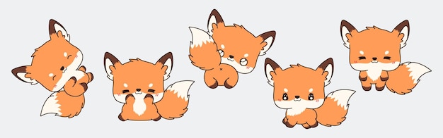 Collection of vector cartoon fox art set of kawaii isolated animal illustrations