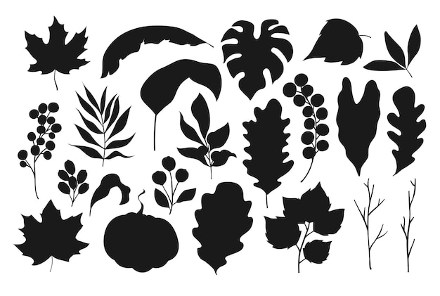 Collection of Vintage hand drawn floral elements Vectors Silhouettes