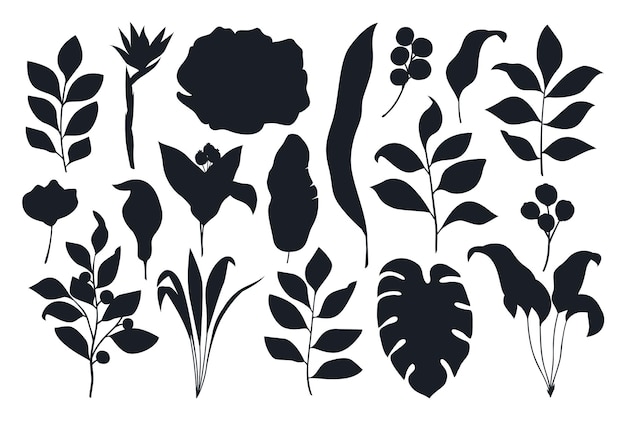 Collection of Vintage hand drawn floral Flower Vectors Silhouettes