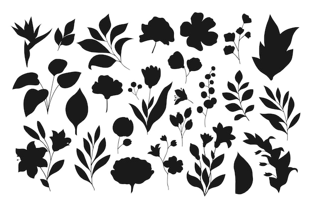 Collection of Vintage hand drawn floral Vectors Silhouettes