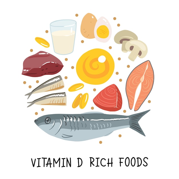 Collection of vitamin D sources Food enriched with cholecalciferol Dairy products fish mushrooms and eggs Dietetic organic nutrition Flat vector cartoon illustration isolated on white