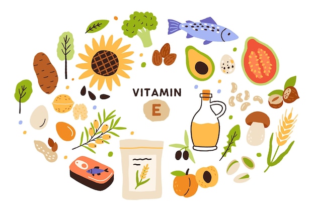 Collection of vitamin E sources. Balanced wholesome food. Fruits, vegetables, nuts, oil and fish. Dietetics products, organic. Flat vector cartoon illustration isolated on white background.