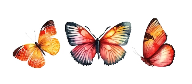 Collection watercolor of flying butterflies watercolor set