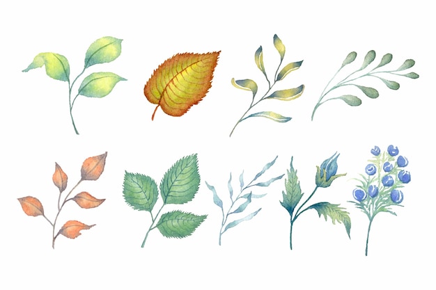 Collection of watercolor greenery leaf plant