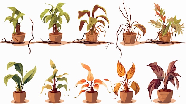 Vector collection of wilted houseplants in various states