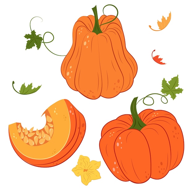 Collection with autumn harvest. Orange pumpkin. Icon for design.