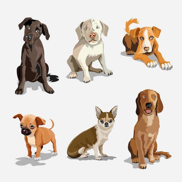 Collection with cute dogs of different breeds Set of funny dogs on a white background Furry human friends home animals