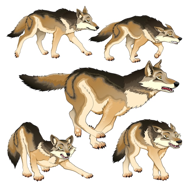 Collection of wolves in different poses