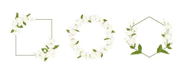 Collection of wreath jasmine flower hand drawn illustration