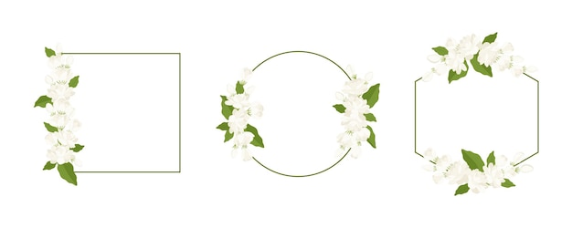 Collection of wreath jasmine flower hand drawn illustration