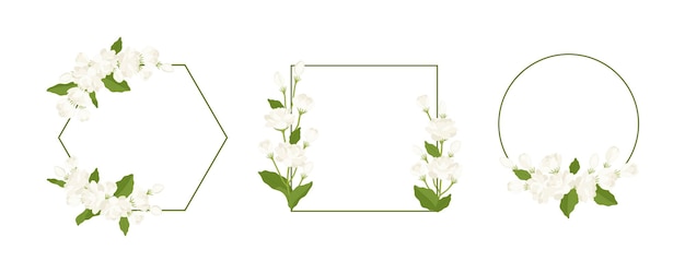 Collection of wreath jasmine flower hand drawn illustration