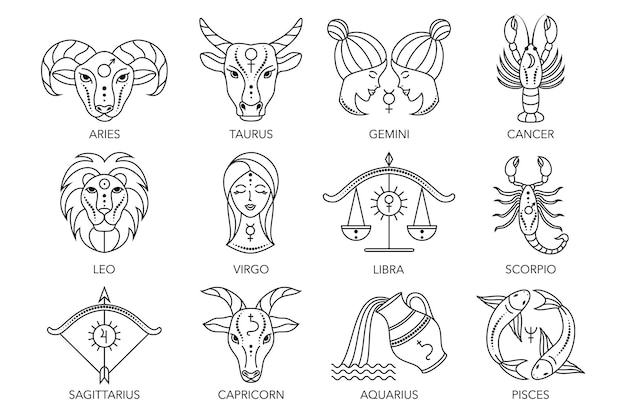 Collection of zodiac signs on white background. Line art icons.
