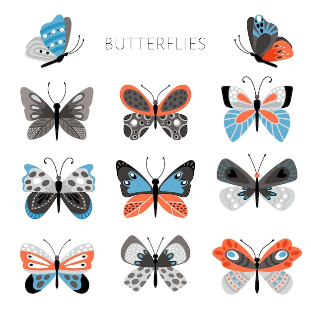 Color butterflies and moths illustration. Vector pretty colorful butterfly set for kids, tropical spring insects in blue and pink colors on white background