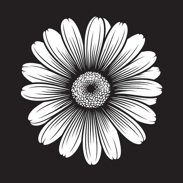 Vector color cascade gerbera daisy vector icon blossom brilliance gerbera daisy logo in vector