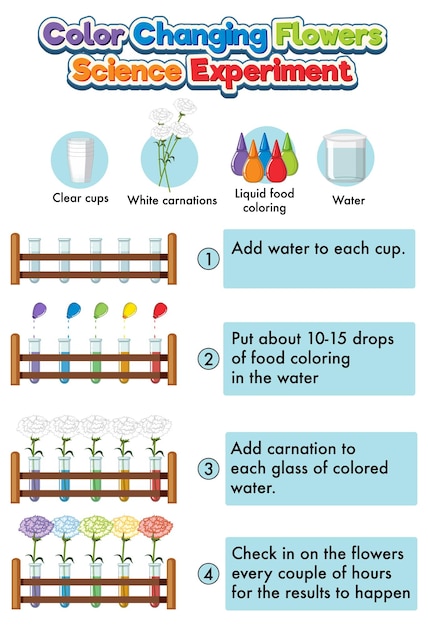 Color changing flowers science experiment