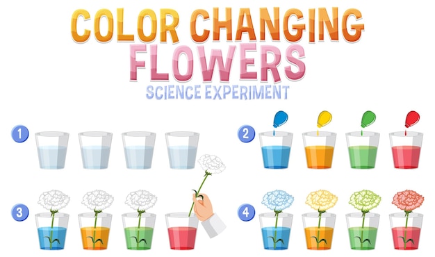 Color changing flowers science experiment