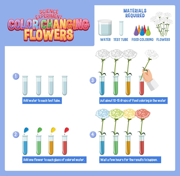 Color Changing Flowers Science Experiment