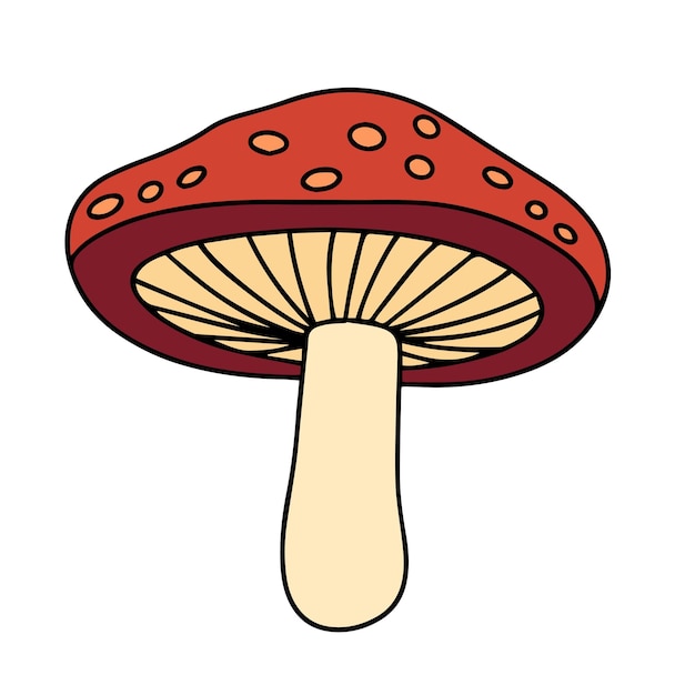 Color doodle mushroom isolated on white background Vector illustration