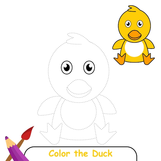 Color the Duck Coloring book for kids Duck Vector Graphics