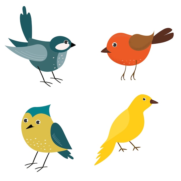 Color icon set birds on shite background Vector