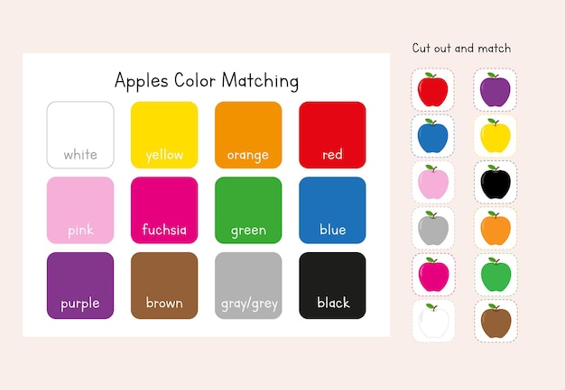 Color matching worksheets. Autumn educational game. Fall activity, Preschool worksheet for kids