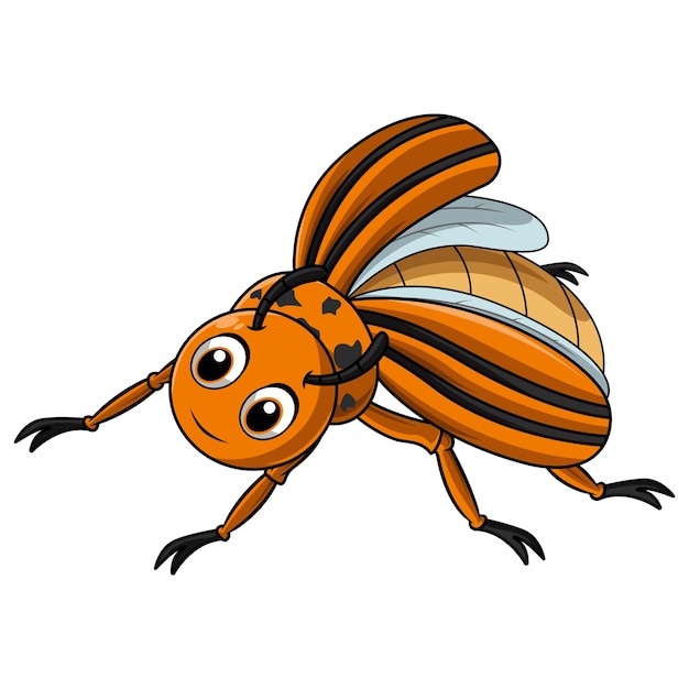 Colorado beetle cartoon on white background