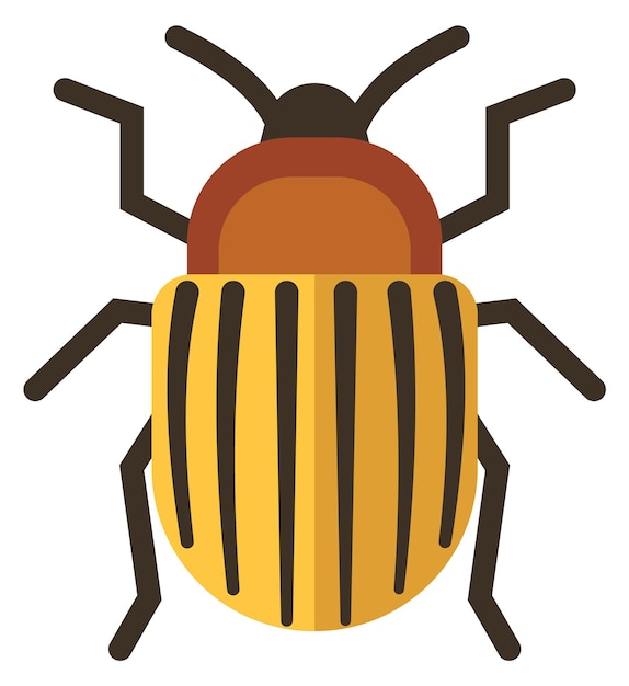 Colorado potato beetle Farm pest color icon