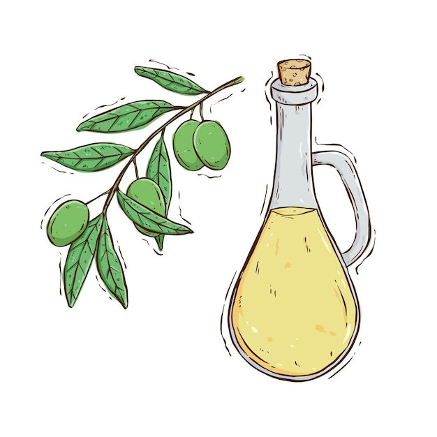 colored hand draw glass bottle jug of olive oil and olives with leaves. Illustration in retro sketch