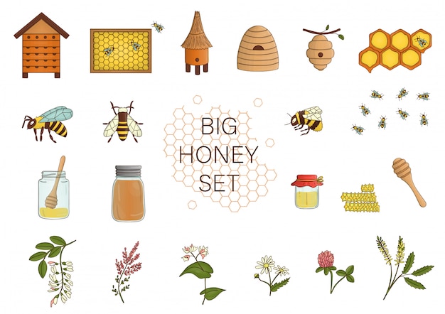  colored set with honey, bee, bumblebee, beehive. 